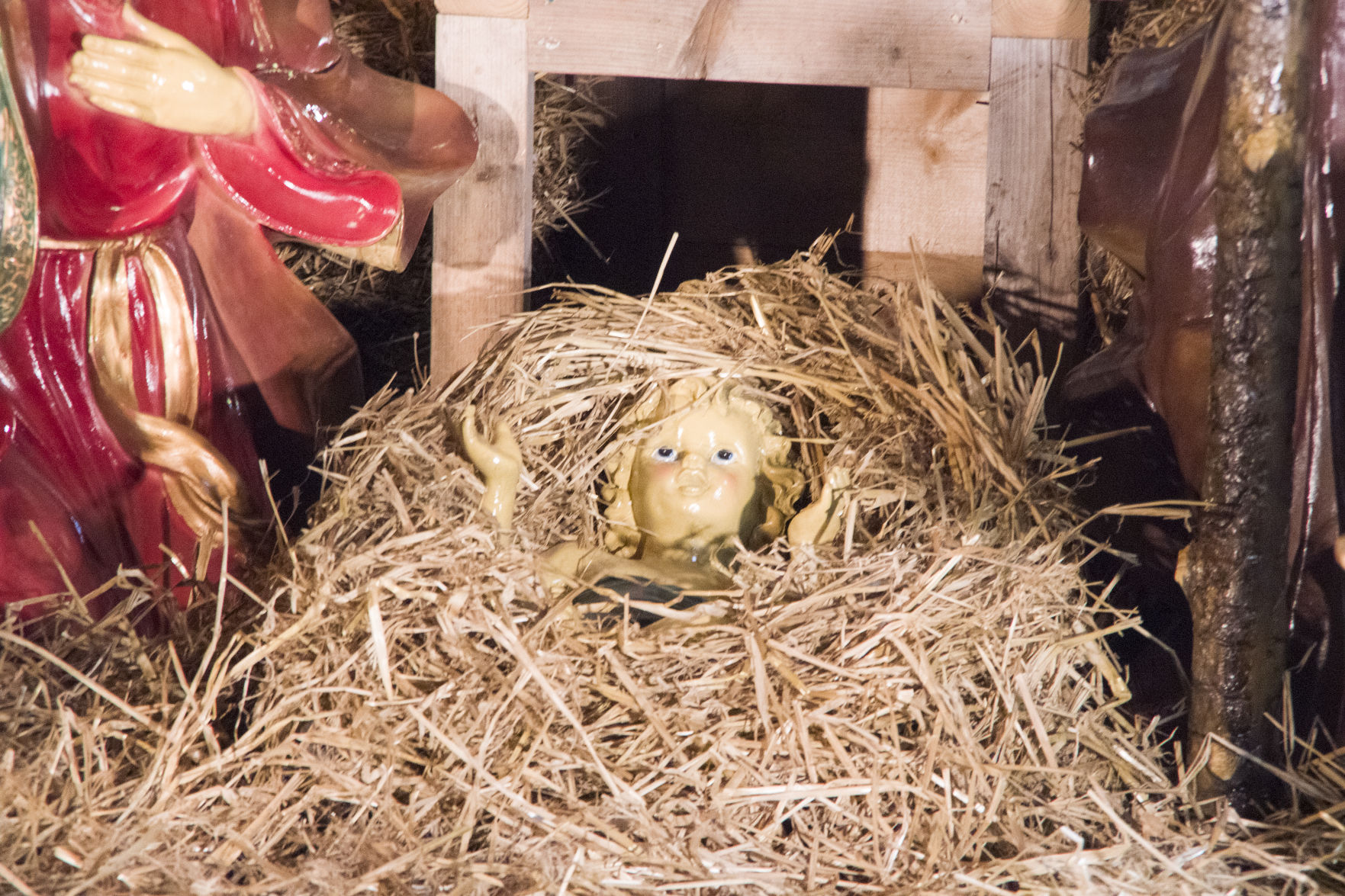 Darlington Nativity